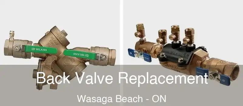  Back Valve Replacement Wasaga Beach - ON