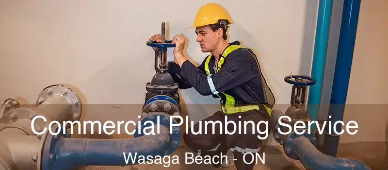  Commercial Plumbing Service Wasaga Beach - ON