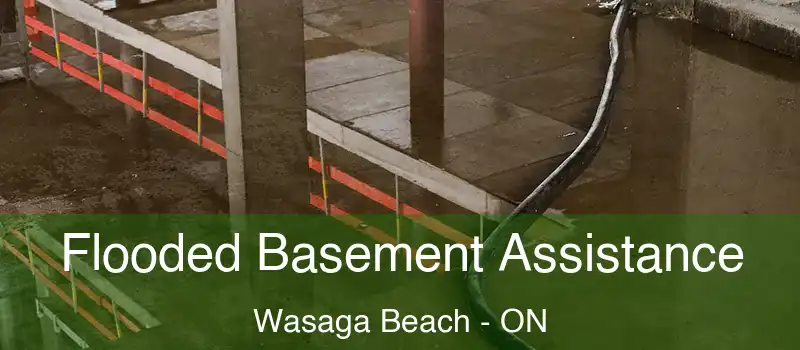  Flooded Basement Assistance Wasaga Beach - ON