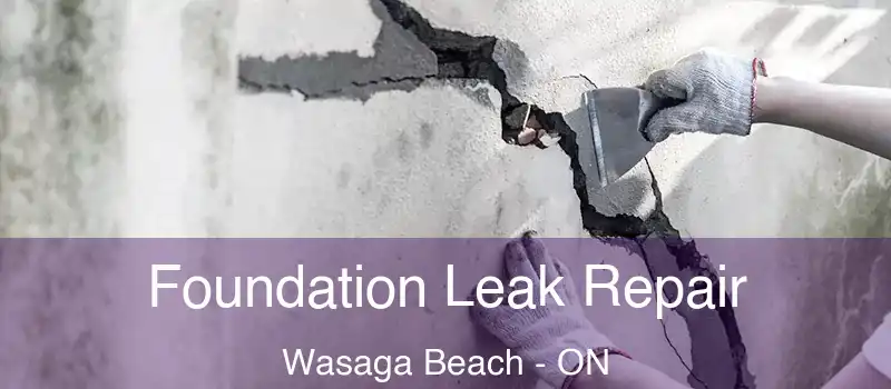  Foundation Leak Repair Wasaga Beach - ON