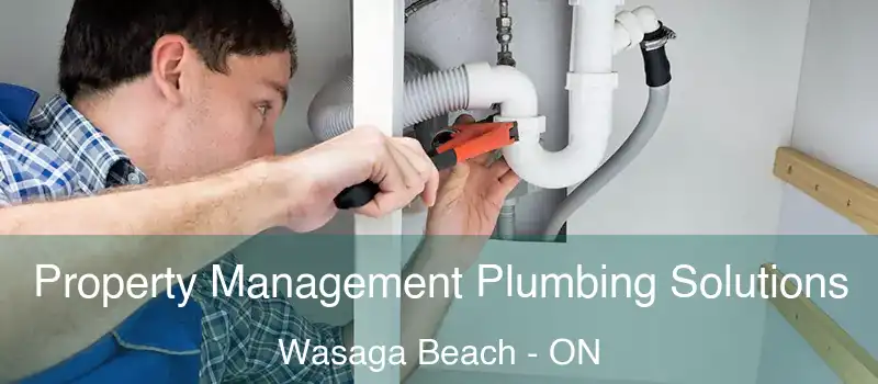  Property Management Plumbing Solutions Wasaga Beach - ON